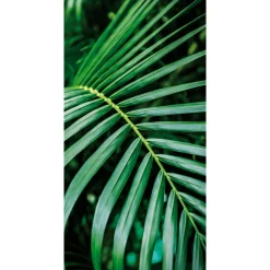 Decoración De Verano|Pancartas Temáticas>DecoWoerner Pancarta De Tela Ignífuga "Palm Frond" De Tela De Bandera 100 X 200 Cm verde