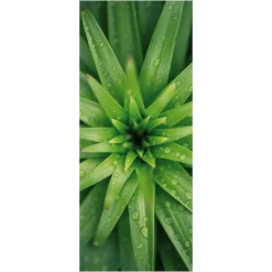 Decoración De Verano|Pancartas De Verano>DecoWoerner Pancarta De Tela Ignífuga "Hojas De Piña" De Tela De Bandera 75 X 180 Cm verde