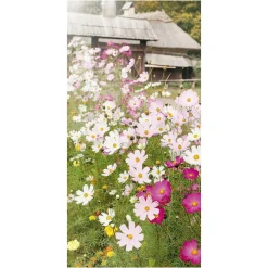 Decoración De Primavera|Pancartas De Verano>DecoWoerner Pancarta De Tela Ignífuga "Pradera De Flores" De Tela De Bandera 100 X 200 Cm rosa