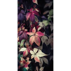 Decoración De Otoño|Pancartas De Otoño>DecoWoerner Pancarta De Tela Ignífuga "hojas De Vid Rojas" De Tela De Bandera 100 X 200 Cm rojo