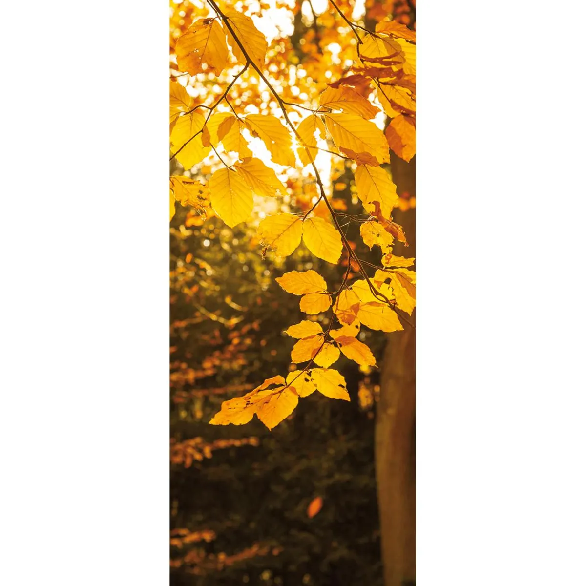 Decoración De Otoño|Pancartas De Otoño>DecoWoerner Pancarta De Tela Ignífuga "Hojas De Oro" 75 X 180 Cm amarillo