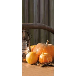 Decoración De Otoño|Pancartas De Otoño>DecoWoerner Pancarta De Tela Ignífuga "Calabaza Con Farol" De Tela De Bandera 75 X 180 Cm naranja