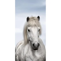 Decoración De Invierno|Pancartas De Navidad E Invierno>DecoWoerner Pancarta De Tela Ignífuga "caballo Islandés" De Tela De Bandera 100 X 200 Cm blanco