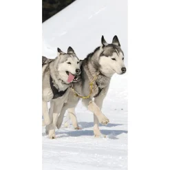 Decoración De Invierno|Pancartas De Navidad E Invierno>DecoWoerner Pancarta De Tela Ignífuga "Carreras De Huskies" De Tela De Bandera 100 X 200 Cm negro