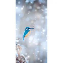 Decoración De Invierno|Pancartas De Navidad E Invierno>DecoWoerner Pancarta De Tela Ignífuga "Kingfisher" De Tela De Bandera 100 X 200 Cm azul