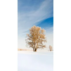 Decoración De Invierno|Pancartas De Navidad E Invierno>DecoWoerner Pancarta De Tela Ignífuga "Árbol De Invierno Dorado" De Tela De Bandera 100 X 200 Cm blanco