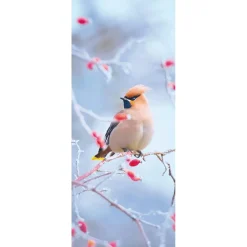Decoración De Invierno|Pancartas De Navidad E Invierno>DecoWoerner Pancarta De Tela Ignífuga "Pájaro De Cola De Seda En Rosa Mosqueta" De Tela De Bandera 75 X 180 Cm marrón