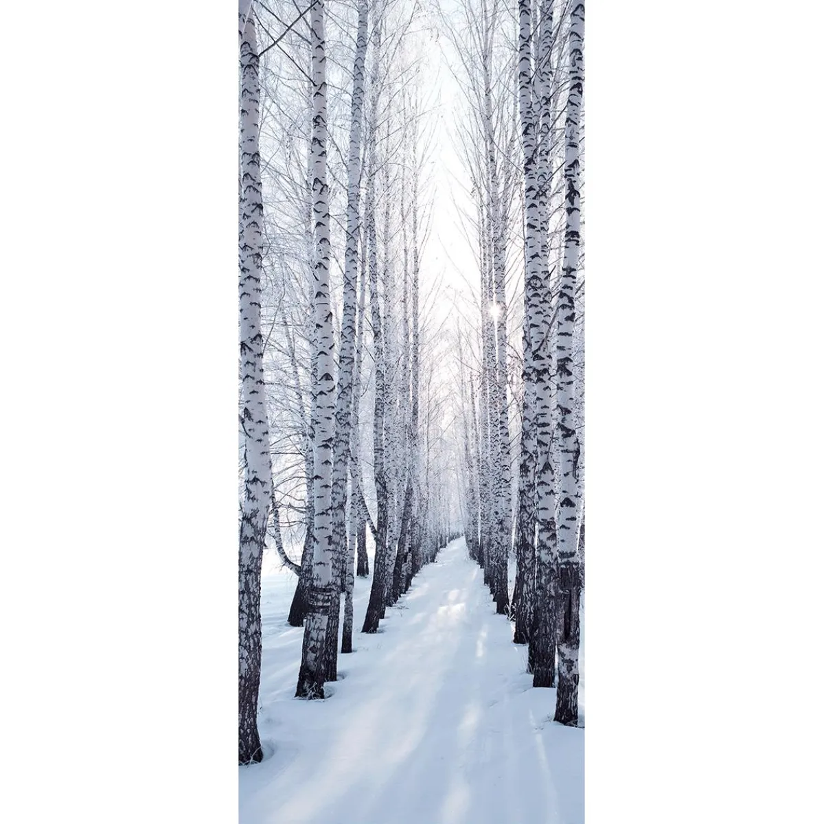 Decoración De Invierno|Pancartas De Navidad E Invierno>DecoWoerner Pancarta De Tela Ignífuga "Winterbirkenallee " De Tela De Bandera 75 X 180 Cm blanco