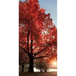 Decoración De Otoño|Pancartas De Otoño>DecoWoerner Pancarta De Tela Ignífuga "árbol De Otoño" De Tela De Bandera 100 X 200 Cm rojo