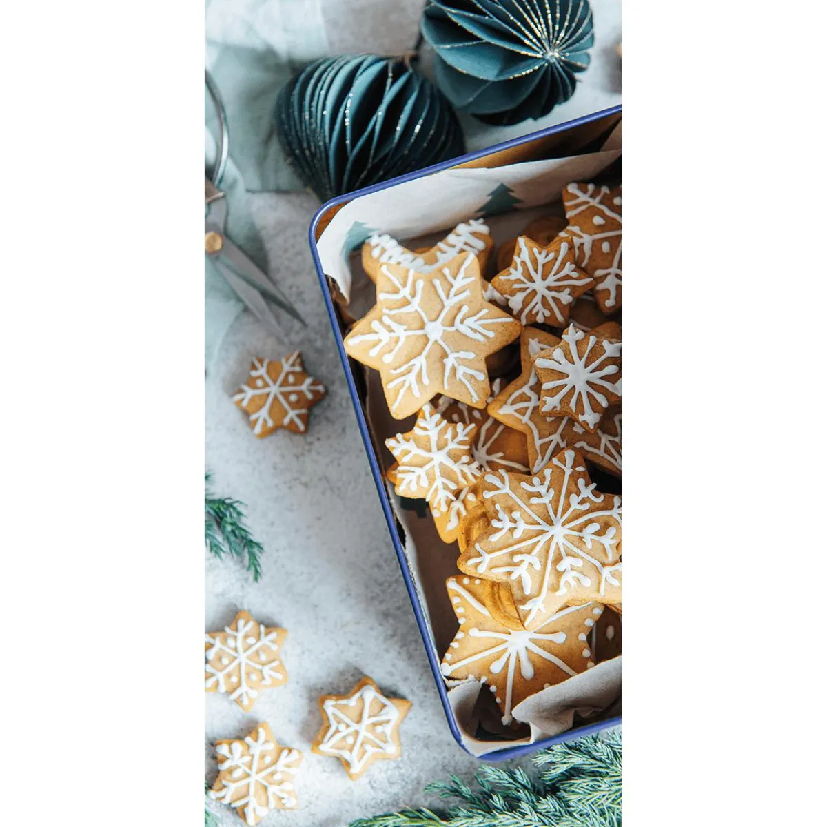 Pancartas De Navidad E Invierno|Bandera De Navidad>DecoWoerner Pancarta De Tela Ignífuga "Lata De Galletas Con Copos De Nieve" De Tela De Bandera 100 X 200 Cm Beige