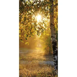 Decoración De Otoño|Pancartas De Otoño>DecoWoerner Pancarta De Tela Ignífuga "Abedules De Otoño" De Tela De Bandera 100 X 200 Cm amarillo
