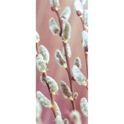 Decoración De Pascua|Decoración De Primavera>DecoWoerner Pancarta De Tela Ignífuga Palm Kitty De Tela De Bandera 75 X 180 Cm blanco