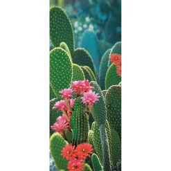 Decoración De Verano|Pancartas Temáticas>DecoWoerner Pancarta De Tela Ignífuga "Cactus En Flor" En Tela De Bandera 75 X 180 Cm verde