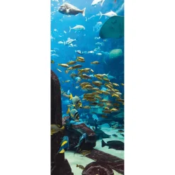 Decoración De Verano|Pancartas De Verano>DecoWoerner Pancarta De Tela Ignífuga "Paisaje Submarino En El Acuario" De Tela De Bandera 75 X 180 Cm azul