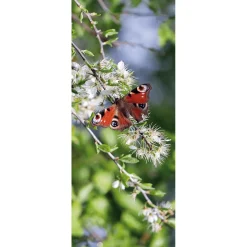Decoración De Verano|Decoración De Primavera>DecoWoerner Pancarta De Tela Ignífuga "ojo De Pavo Real Mariposa Roja" De Tela De Bandera 75 X 180 Cm rojo