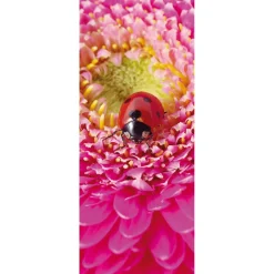 Decoración De Verano|Decoración De Primavera>DecoWoerner Pancarta De Tela Ignífuga "Mariquita Sobre Flor Rosa" De Tela De Bandera 75 X 180 Cm rojo