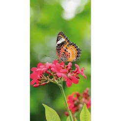 Decoración De Verano|Decoración De Primavera>DecoWoerner Pancarta De Tela Ignífuga "Mariposa Sobre Flor Roja" En Tela De Pancarta 100 X 200 Cm rojo