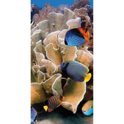 Decoración De Verano|Pancartas De Verano>DecoWoerner Pancarta De Tela Ignífuga "Arrecife Con Peces De Coral De Colores" De Tela De Bandera 100 X 200 Cm azul