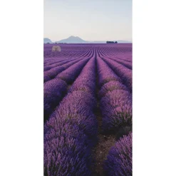 Decoración De Verano|Pancartas De Verano>DecoWoerner Pancarta De Tela Ignífuga "Campo De Lavanda En Provenza" De Tela De Bandera 100 X 200 Cm violeta
