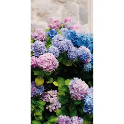 Decoración De Verano|Decoración De Primavera>DecoWoerner Pancarta De Tela Ignífuga "hortensias s, Moradas Y Azules" De Tela De Bandera 100 X 200 Cm rosa