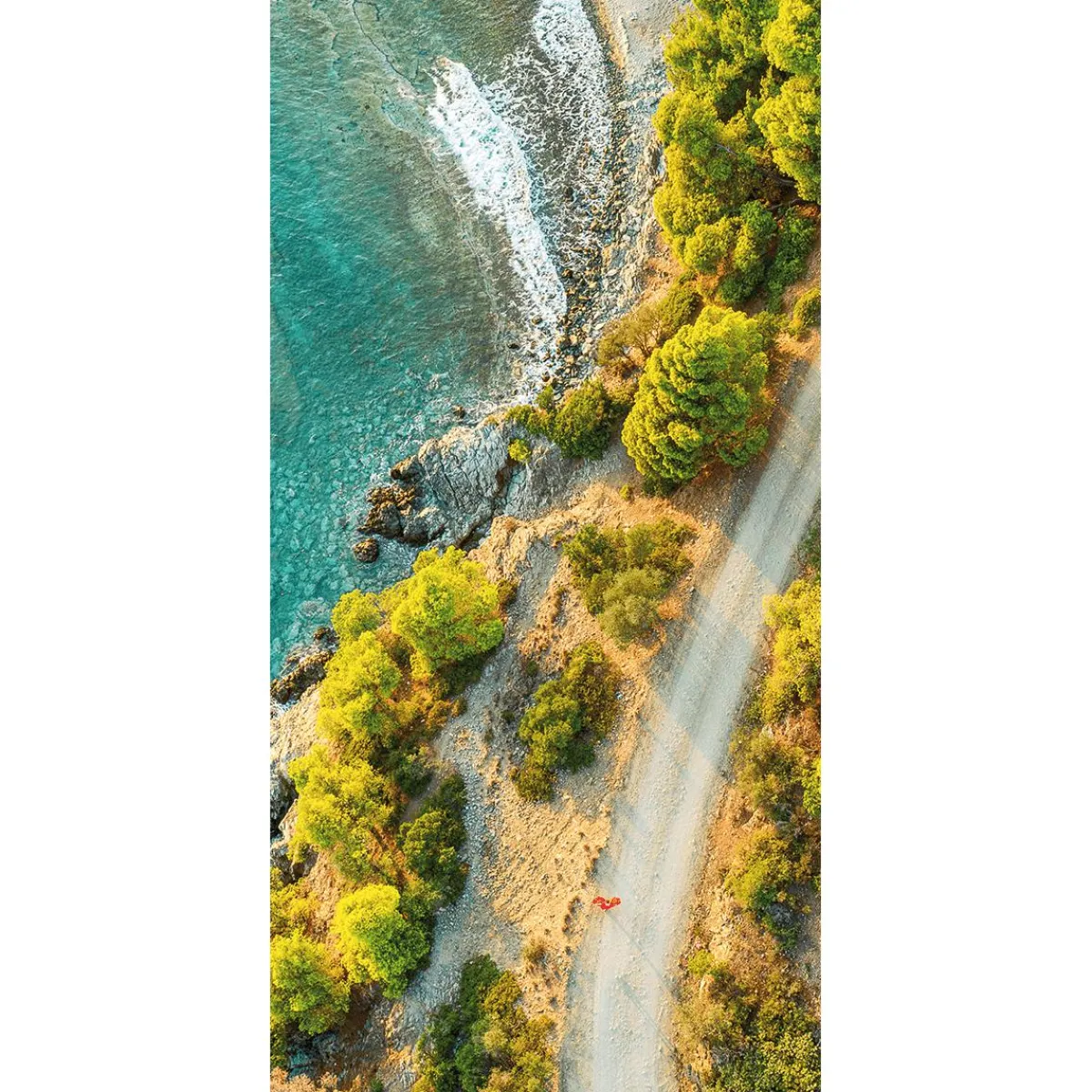 Decoración Temática|Decoración De Verano>DecoWoerner Pancarta De Tela Ignífuga "Coastal Road" De Tela De Bandera 100 X 200 Cm verde