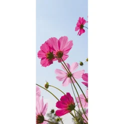 Decoración De Primavera|Pancartas De Verano>DecoWoerner Pancarta De Tela Retardante De La Llama Cosmea Tela De La Bandera 75 X 180 Cm rosa