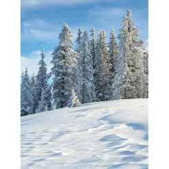 Bandera Xxl|Decoración De Invierno>DecoWoerner Pancarta De Tela XL "Bosque De Abetos Nevados" De Tela De Bandera Ignífuga 150 X 200 Cm blanco
