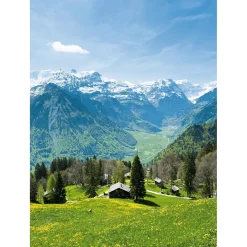 Bandera Xxl|Decoración Temática>DecoWoerner Pancarta De Tela XL "Pradera Alpina Con Pasto De Montaña" De Tela De Bandera Ignífuga 150 X 200 Cm verde