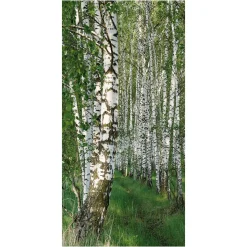 Pancartas De Primavera>DecoWoerner Pancarta Ligera De Fibra Natural "Bosque De Abedules" De Algodón 100 X 200 Cm verde