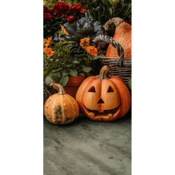 Decoración Temática|Pancartas De Otoño>DecoWoerner Pancartas De Tela Calabaza Halloween 100 X 200 Cm naranja