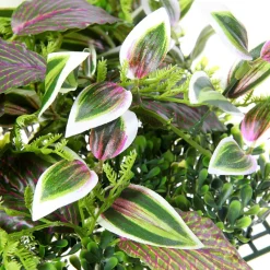 Decoración De Verano|Paredes De Plantas><noscript><img width=