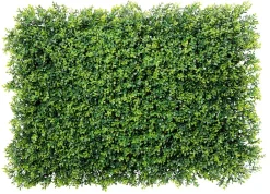 Decoración De Verano|Decoración De Primavera>DecoWoerner Panel De Boje Artificial 60 X 40 Cm verde