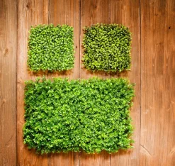 Decoración De Verano|Decoración De Primavera>DecoWoerner Panel De Boje Artificial 60 X 40 Cm verde