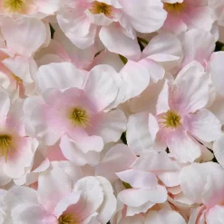 Paredes De Plantas><noscript><img width=