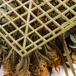 Decoración De Otoño|Paredes De Plantas><noscript><img width=