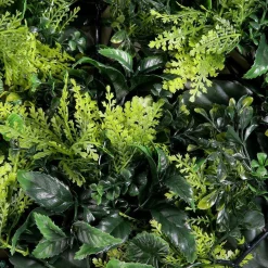 Paredes De Plantas><noscript><img width=