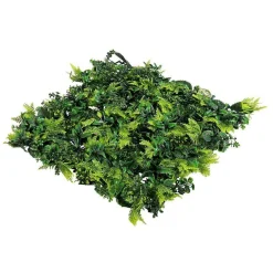 Paredes De Plantas><noscript><img width=