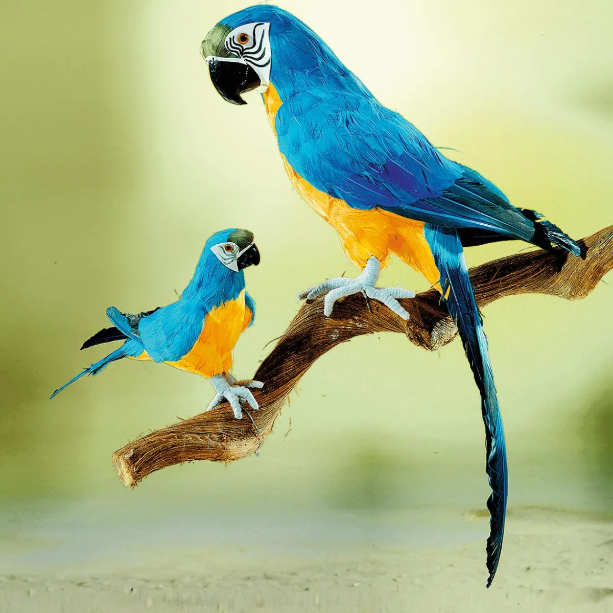 Decoración De Animales|Decoración De Verano>DecoWoerner Papagayo Decorativo -amarillo, Longitud 70 Cm azul