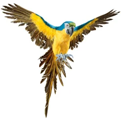 Decoración De Animales|Decoración De Verano>DecoWoerner Papagayo Decorativo -amarillo Longitud 77 Cm azul