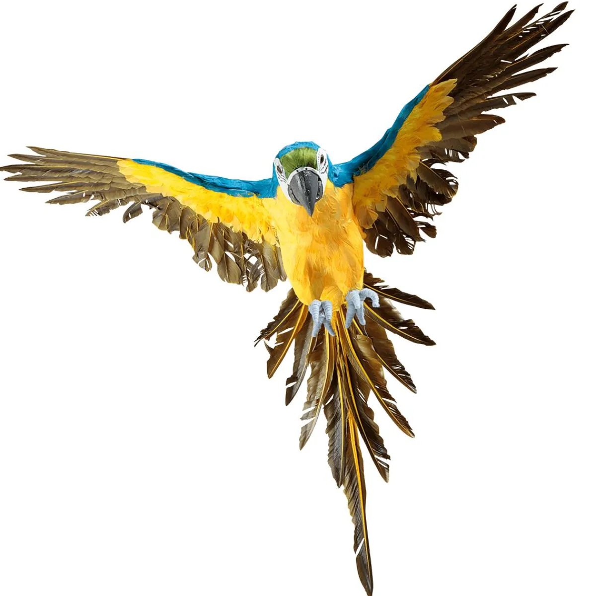 Decoración De Animales|Decoración De Verano>DecoWoerner Papagayo Decorativo -amarillo Longitud 77 Cm azul