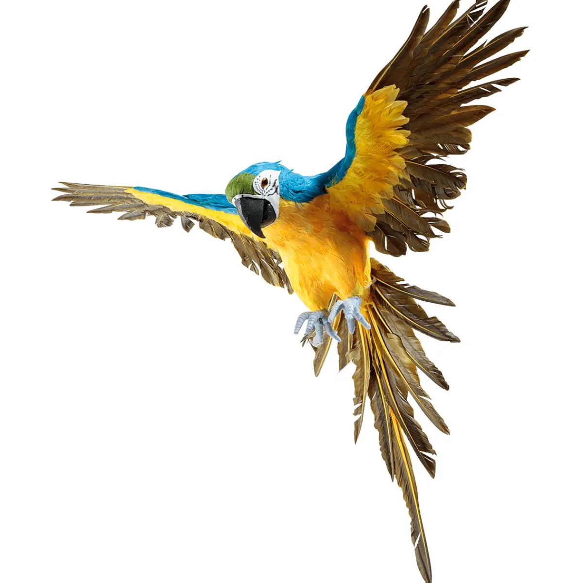 Decoración De Animales|Decoración De Verano>DecoWoerner Papagayo Decorativo -amarillo Longitud 77 Cm azul