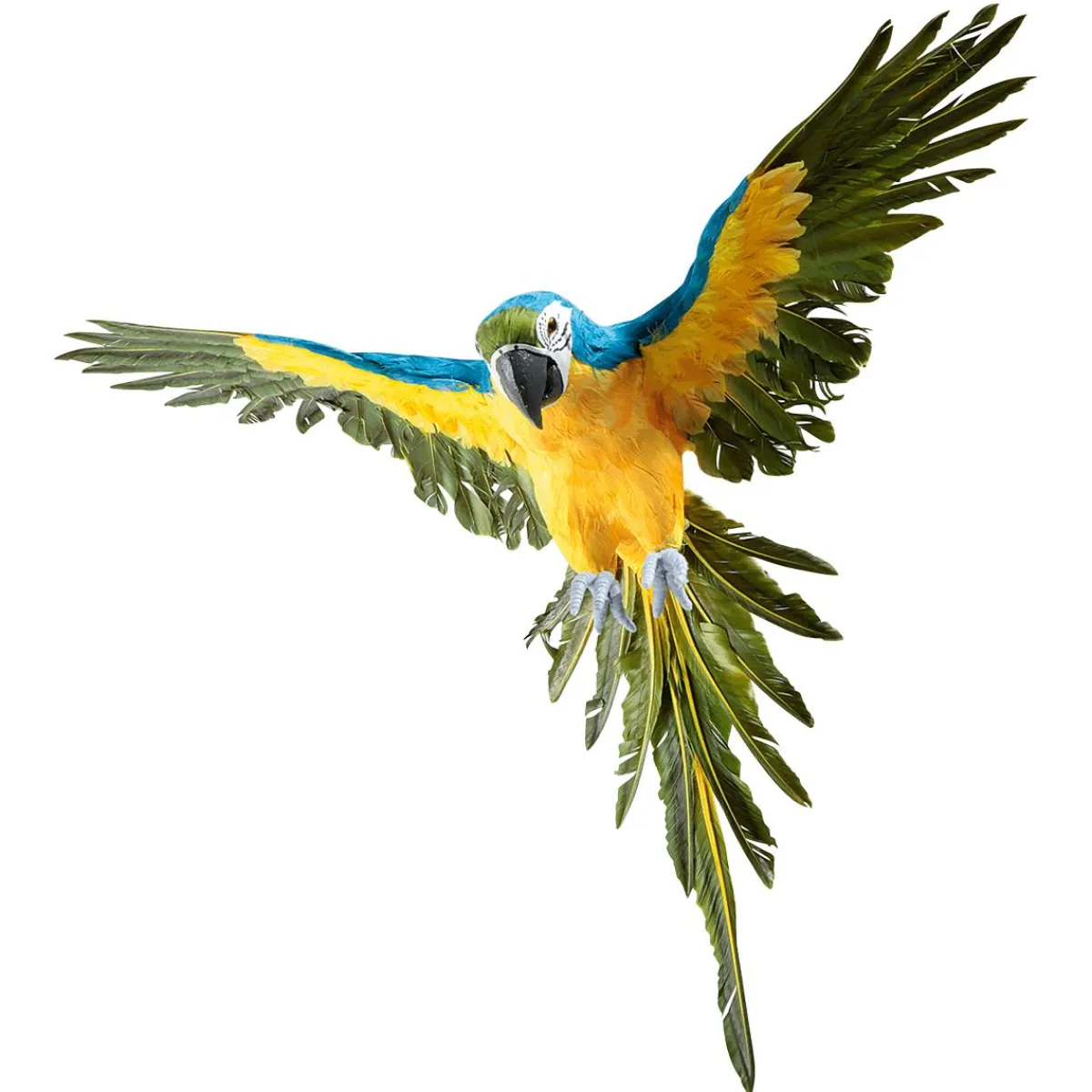 Decoración De Animales|Decoración De Verano>DecoWoerner Papagayo Decorativo -amarillo Longitud 77 Cm azul
