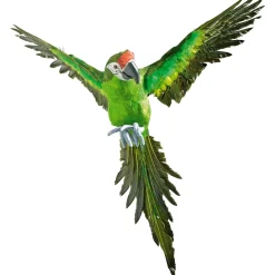 Decoración De Animales|Decoración De Verano>DecoWoerner Papagayo Decorativo Longitud 77 Cm verde