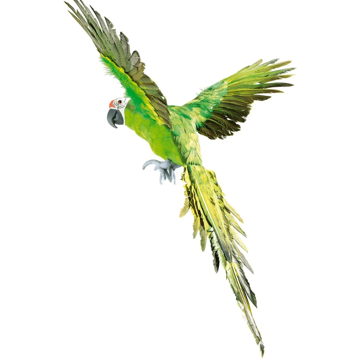 Decoración De Animales|Decoración De Verano>DecoWoerner Papagayo Decorativo Longitud 77 Cm verde