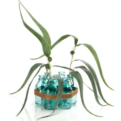 Ramas Y Ramitas>DecoWoerner Paquete De 3 Eucaliptos Artificiales, , 60 Cm De Altura verde