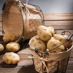 Verduras Y Hierbas><noscript><img width=