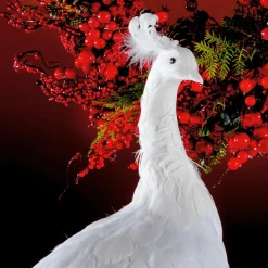 Decoración De Animales|Decoración Temática><noscript><img width=