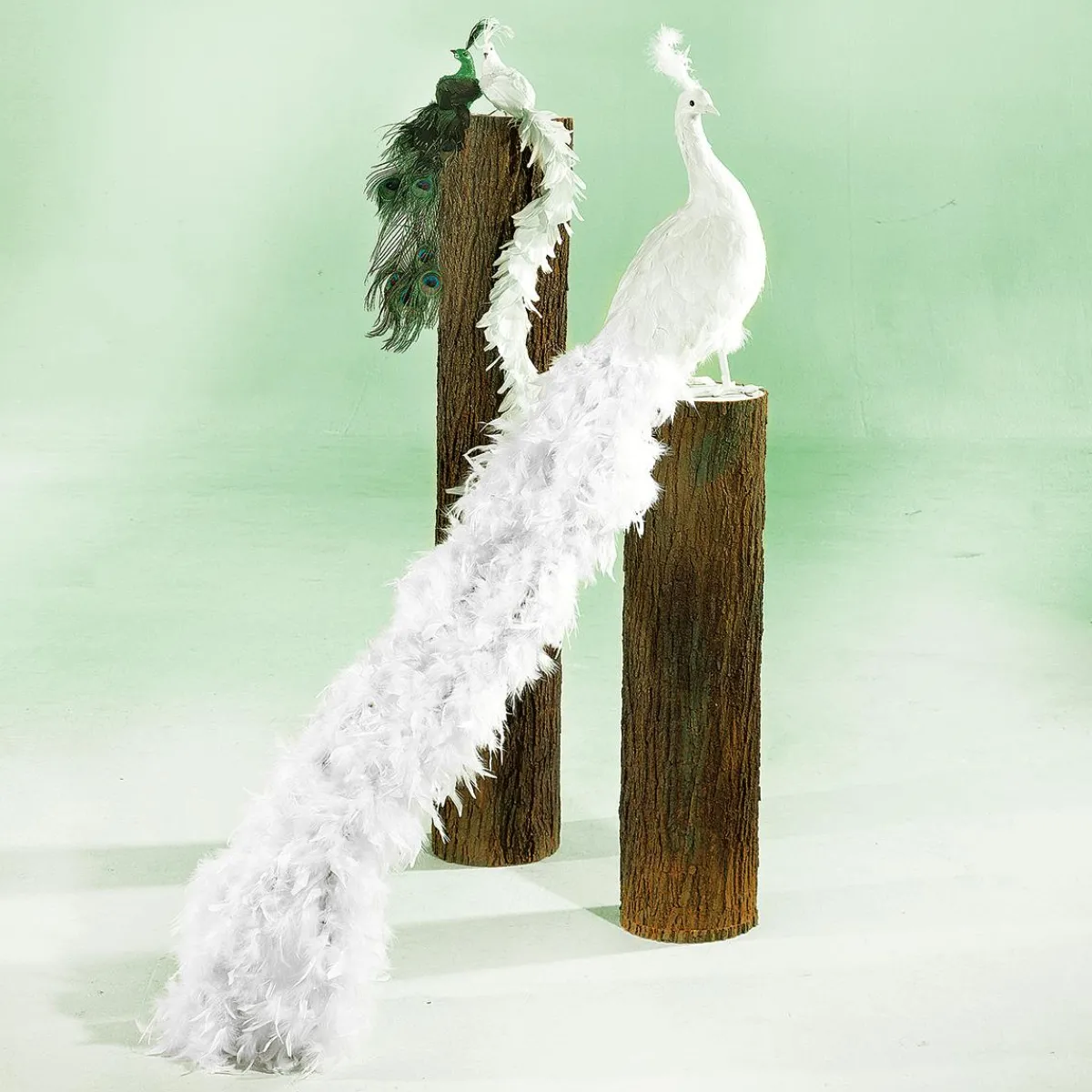 Decoración De Animales|Decoración Temática>DecoWoerner Pavo Real Decorativo, Longitud: 150 Cm blanco