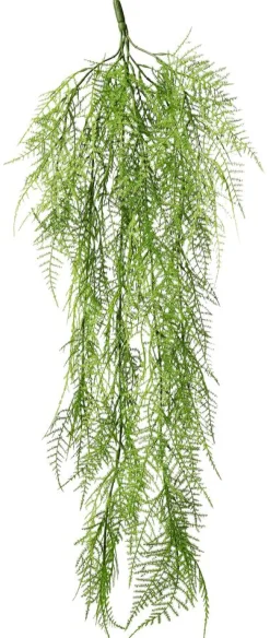 Plantas Verdes|Plantas Colgantes>DecoWoerner Percha Velo Espárrago Ornamental 80 Cm verde