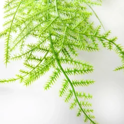 Plantas Verdes|Plantas Colgantes>DecoWoerner Percha Velo Espárrago Ornamental 80 Cm verde
